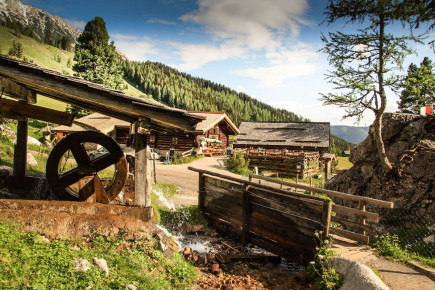 Oberhofalm in Filzmoos - Eindrücke & Impressionen vom Hofalmgebiet