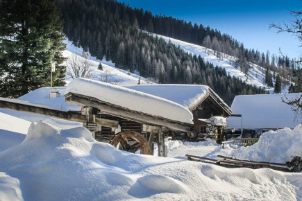 Oberhofalm in Filzmoos - Eindrücke & Impressionen vom Hofalmgebiet