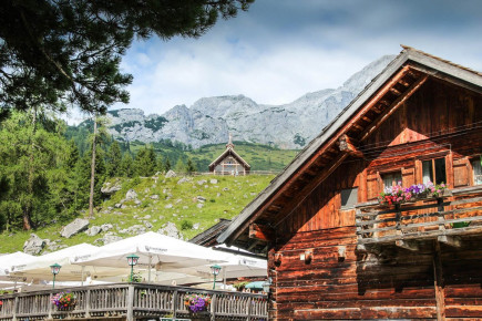 Oberhofalm in Filzmoos - Eindrücke & Impressionen vom Hofalmgebiet