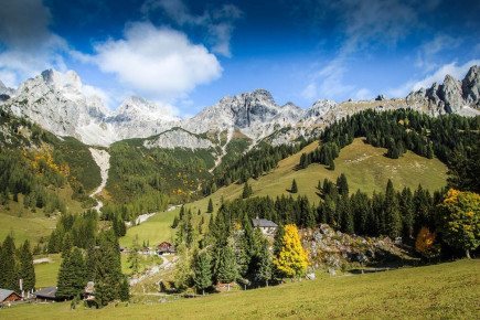 Oberhofalm in Filzmoos - Eindrücke & Impressionen vom Hofalmgebiet