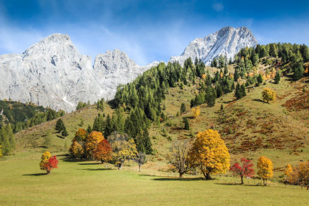 Oberhofalm in Filzmoos - Eindrücke & Impressionen vom Hofalmgebiet