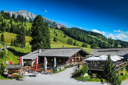 Oberhofalm im Sommer - Ausflugsziel in Filzmoos, Salzburger Land