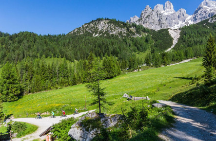 Wandern im Hofalmgebiet rund um die Bischofsmütze - Oberhofalm Filzmoos