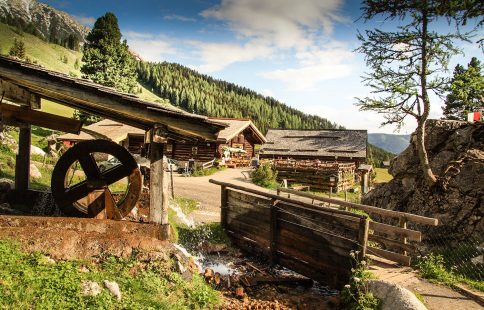 Oberhofalm in Filzmoos - Eindrücke & Impressionen vom Hofalmgebiet