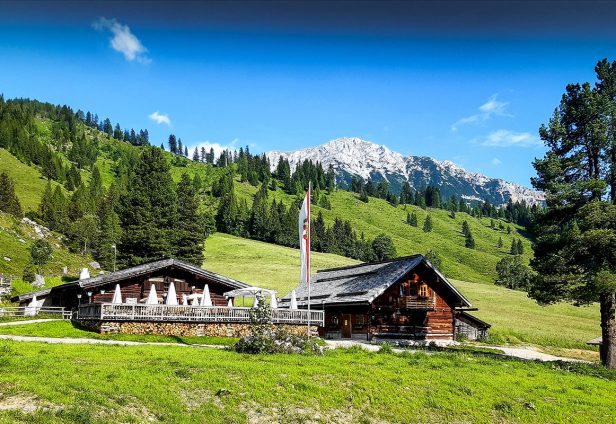 Oberhofalm in Filzmoos - Eindrücke & Impressionen vom Hofalmgebiet