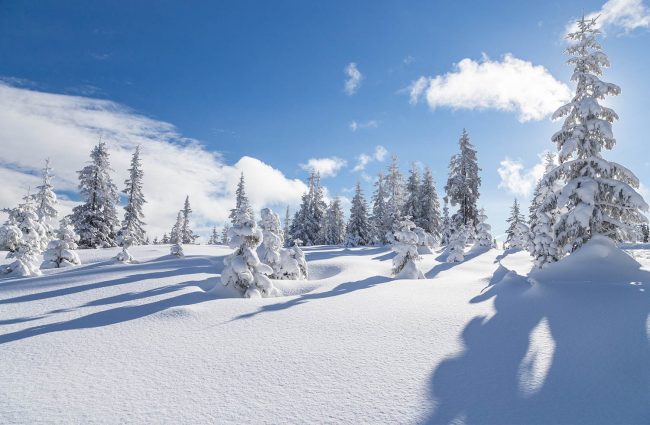 Skitour & Schneeschuhwanderungen in Filzmoos zur Oberhofalm