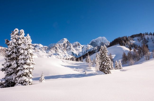 Skitour & Schneeschuhwanderungen in Filzmoos zur Oberhofalm